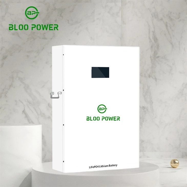 Customizable Lithium Iron Phosphate Battery Meet Different Customers