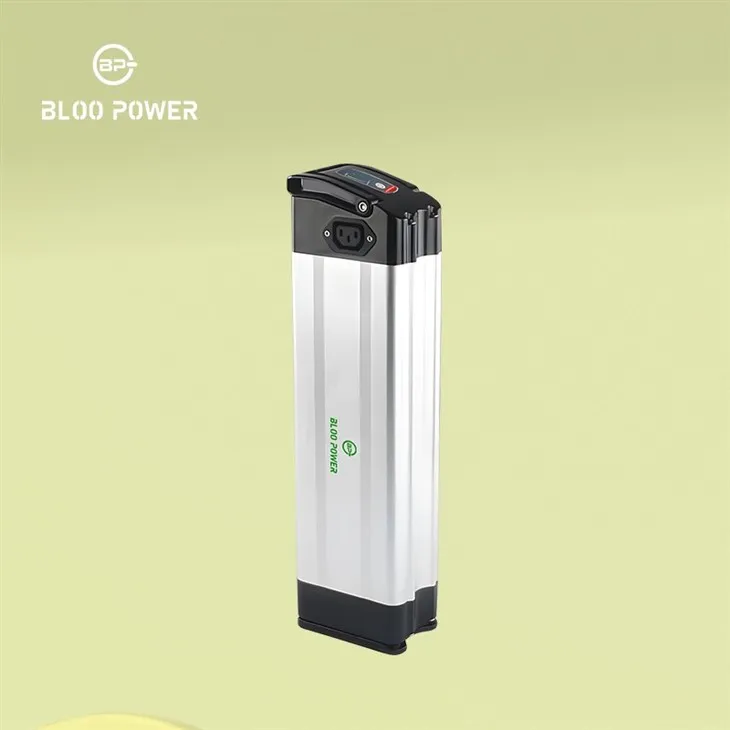 36V electric bike with various charge and discharge sockets